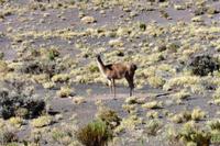 Fahrt nach Arco Iris