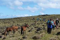 Wanderung entlang der Steilküste