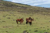 Wanderung entlang der Steilküste