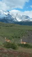 Torres del Paine