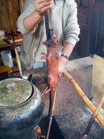 054_Meerschwein in Lomay (2)