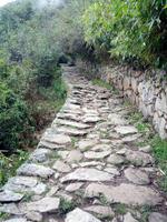 082_Machu Picchu; Wanderung Intipunku