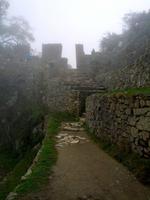 084_Machu Picchu; Wanderung Intipunku