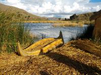 133_bei den Urus Iruitos