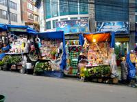 159_La Paz; Hexenmarkt