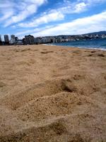 184_Viña del Mar