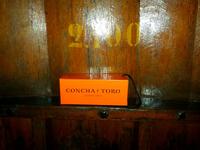 208_Weingut Concha y Toro 