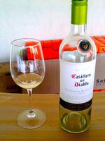 214_Weingut Concha y Toro