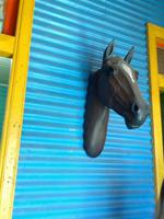 240_Buenos Aires; Caminito