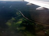 278..in den Regenwald