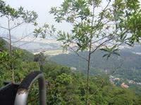 auf der Jeeptour in den Regenwald