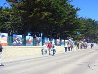 Stanley, Falklandinseln