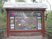 Foto-Stopp am Petrohue River