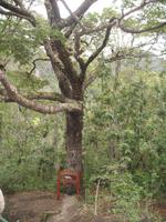 Foto-Stopp am Petrohue River