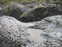 Foto-Stopp am Petrohue River