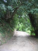 Frutillar und German Settlers Museum