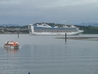 Tendern von Puerto Montt