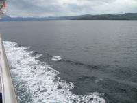 Unfreiwilliger Tag auf See statt Punta Arenas