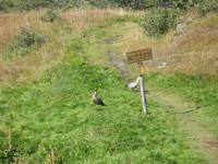 Parque Nacional Tierra del Fuego