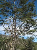 Parque Nacional Tierra del Fuego
