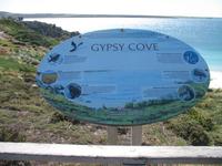 Magellan-Pinguine bei Yorke Bay und Gypsy Cove