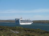 Magellan-Pinguine bei Yorke Bay und Gypsy Cove