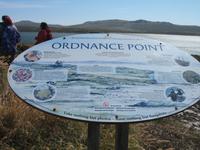 Magellan-Pinguine bei Yorke Bay und Gypsy Cove