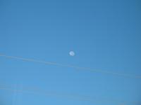 Ausflug zur Halbinsel Valdés