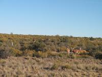 Ausflug zur Halbinsel Valdés