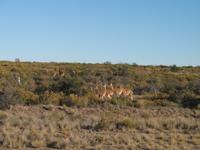 Ausflug zur Halbinsel Valdés