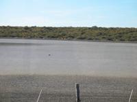 Ausflug zur Halbinsel Valdés