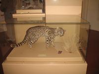 Ausflug zur Halbinsel Valdés