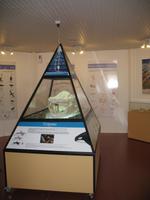 Ausflug zur Halbinsel Valdés