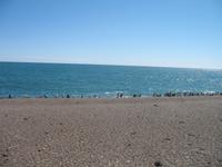 Naturreservat der Magellan-Pinguine