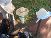 Argentinische Wasserfälle in Iguaçu