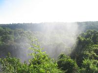 Argentinische Wasserfälle in Iguaçu