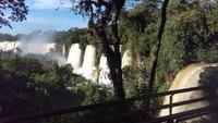 Argentinische Wasserfälle in Iguaçu