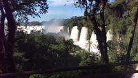 Argentinische Wasserfälle in Iguaçu