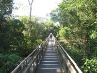 Argentinische Wasserfälle in Iguaçu