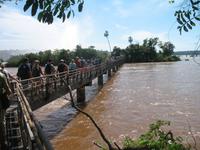 Argentinische Wasserfälle in Iguaçu
