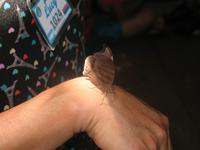 Argentinische Wasserfälle in Iguaçu