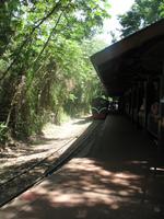 Argentinische Wasserfälle in Iguaçu