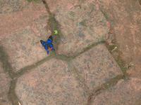 Argentinische Wasserfälle in Iguaçu