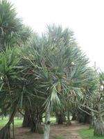 Foto-Stopp vorm Zuckerhut 