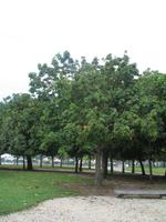 Foto-Stopp vorm Zuckerhut 