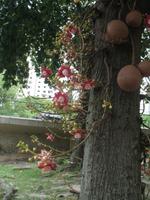 Foto-Stopp vorm Zuckerhut 