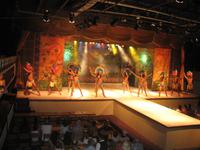 Samba Show im Plataforma