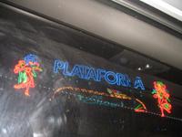 Samba Show im Plataforma