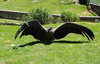 Rundreise Südamerika – die Vielfalt Lateinamerikas entdecken : Peru, Bolivien, Chile, Argentinien, Uruguay, Brasilien