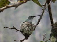 Rundreise Südamerika – die Vielfalt Lateinamerikas entdecken : Peru, Bolivien, Chile, Argentinien, Uruguay, Brasilien